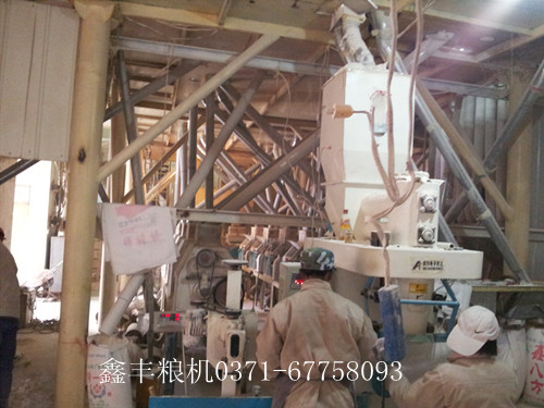輝縣60噸面粉機械正式投入生產(chǎn)中